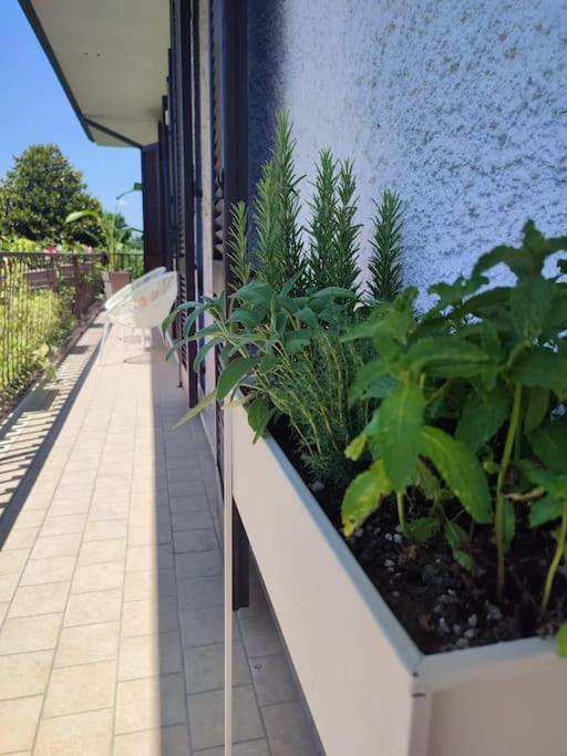 Apartamento La Passione Al Mare